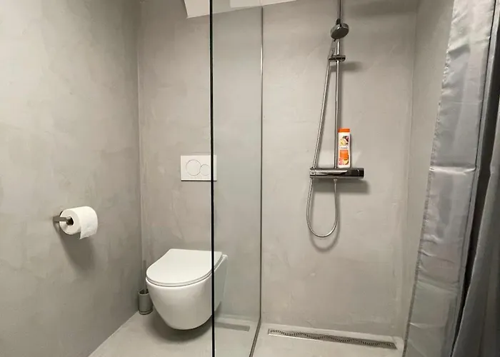 Center 1 Apartament *