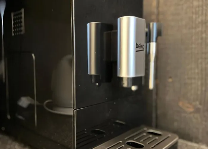 Apartament Center 1 *